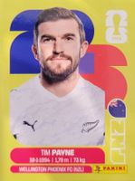 Panini FIFA World Cup NZL 6