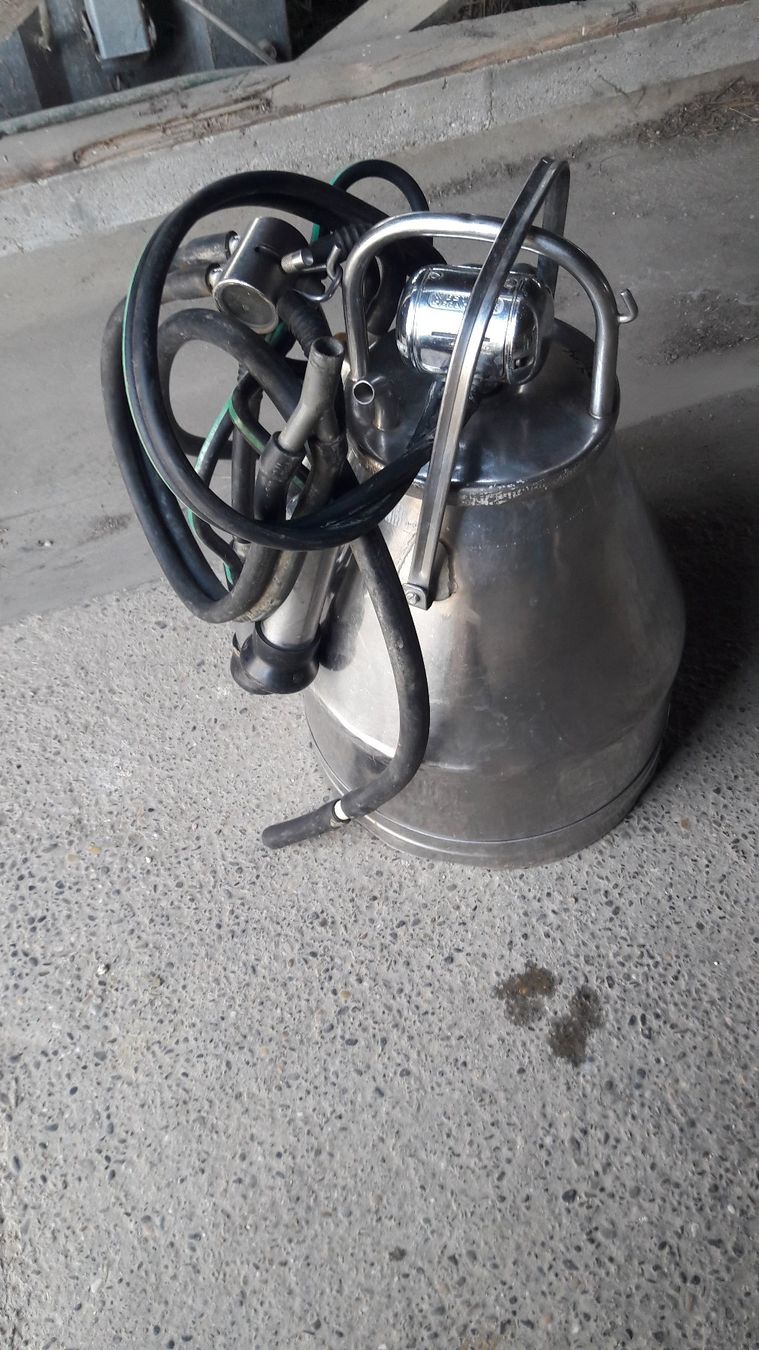 Westfalia Tutte le macchine: Melkmaschine Wesfalia nummer 1 – Usato da Laufen venduto da Mann455 3