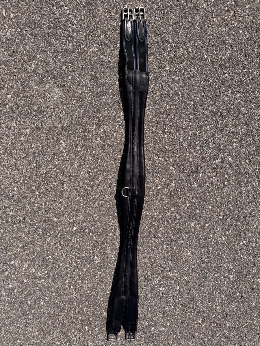 Selles, accessoires: Ledersattelgurt – D'occasion à Siselen BE par Mammut2577