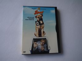 Spot - Ein Hund auf Abwegen(2001)-selten