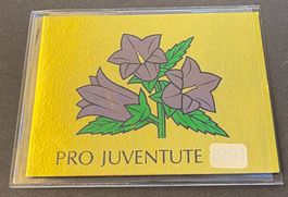 PRO JUVENTUTE 1991