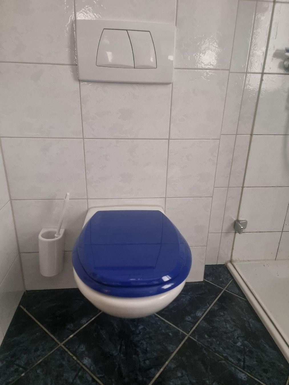WC: Wand-WC weiss mit blauer Brille gebraucht – Usato da Sempach venduto da Severin.Roth 1