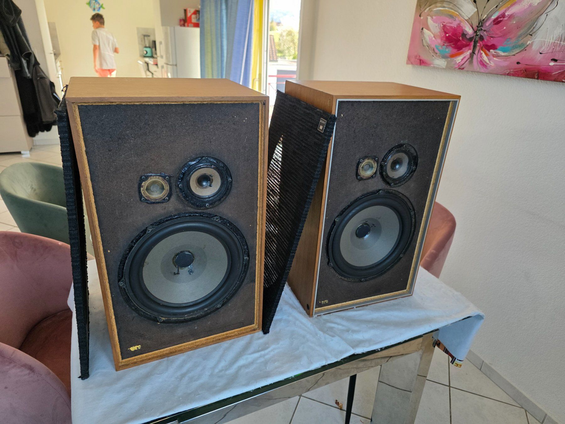Sony Casse acustiche: Sony SS 2900 – Usato da Pfyn venduto da alex75