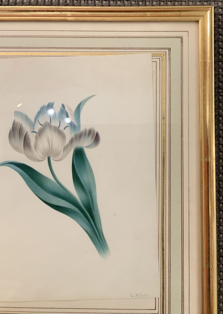 Dipinti: Aquarelle, une tulipe signé E McBeath – Usato da rolle venduto da Tontonjulot 3