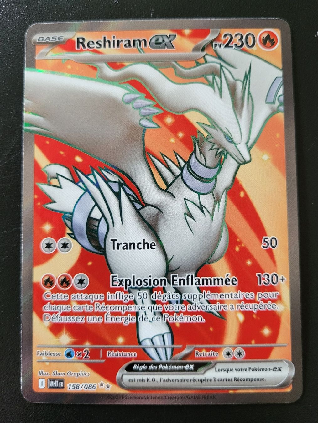 Pokémon Carte collezionabili: Reshiram ex Flammes blanches fr – Nuovo (secondo la descrizione) da St-Sulpice VD venduto da cel_ysf7