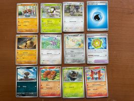 Pokemon 12er Karten Set (Versand gratis)