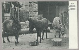 TRE AMICI PARTICOLARI, SCHMIDHAUSER, 533