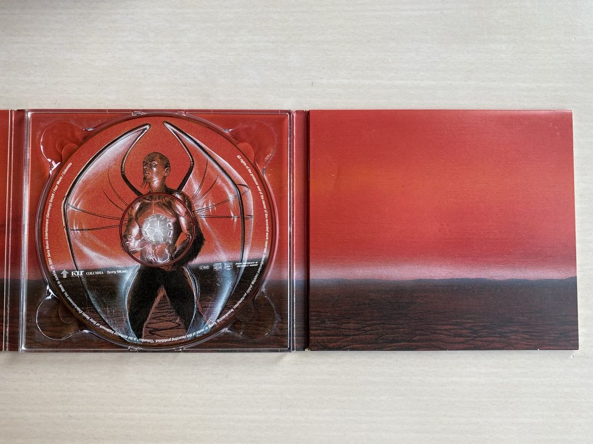 CD: Thomas D - Reflektor Falke CD Lektionen in Demut – Usato da Oberried Brienz venduto da Chyara 3