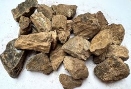 Bernstein über 1Kilo    grosse Brocken    woodamber Sumatra