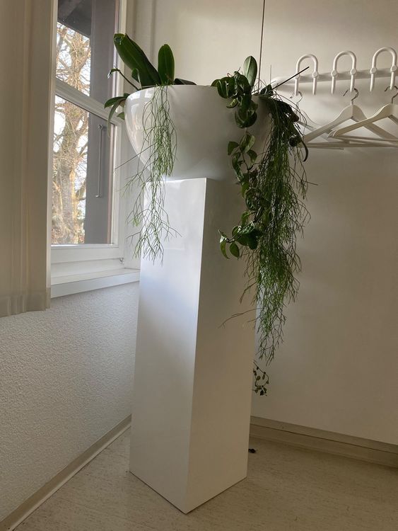 Blumentopf mit Säule Kaufen auf Ricardo