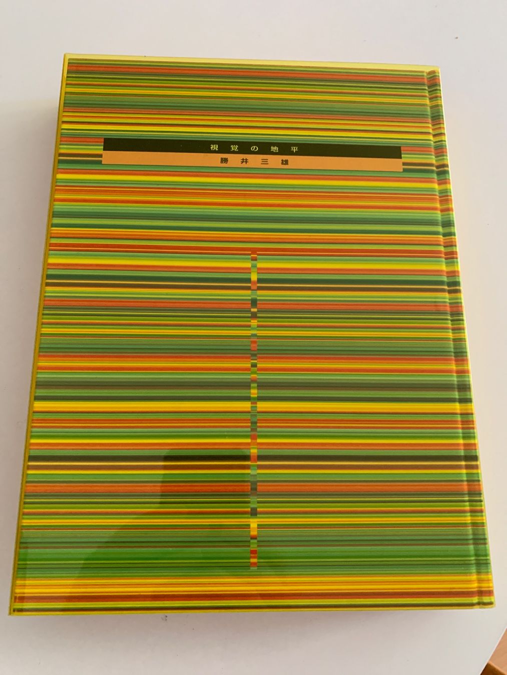 Libri: RARE! Mitsuo Katsui "visionary scape / visual horizon" 2003 – Usato da Zürich venduto da Thenerd