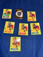 Ecuador 7x panini