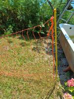 Elektrozaun Netz f. Geflügel Weidezaun orange/gelb ca. 25 m