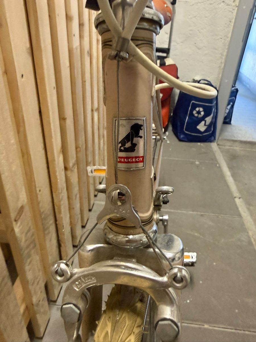 Peugeot Biciclette: Peugeot Damenvelo – Usato da zürich venduto da nor_p6jf 6