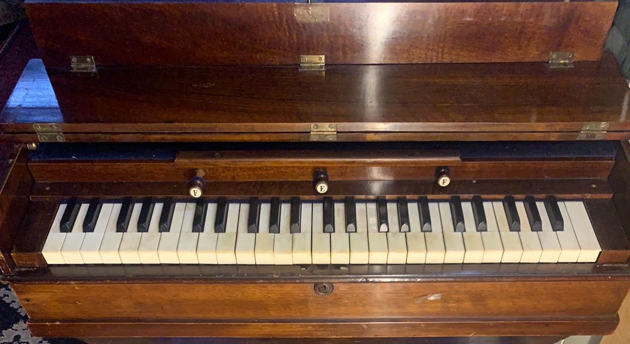 Strumenti musicali: Antikes Reise Harmonium  Physharmonika – Usato da Grabs venduto da mayram27 8
