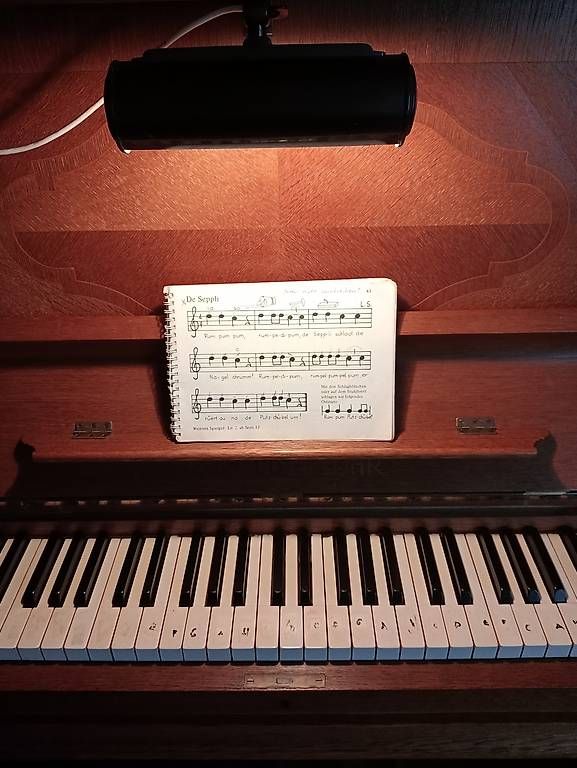 Strumenti musicali: Wunderschönes KLAVIER Schmidt - Flohr – Usato da Mötschwil venduto da got_kss6 2