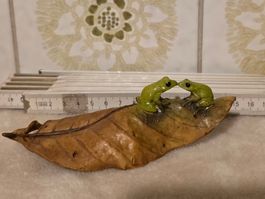 Figurine deux grenouilles sur feuille séchée