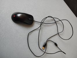 Gaming Maus Zowie FK2