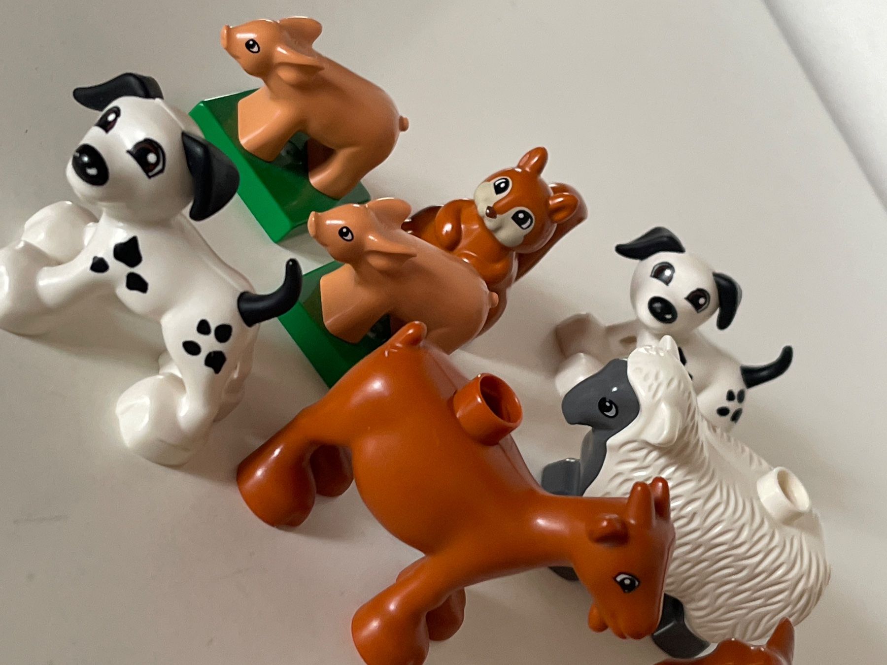 Lego Giocattoli: LEGO DUPLO 10 Diverse Tiere – Usato da Gelterkinden venduto da cobra0110 1