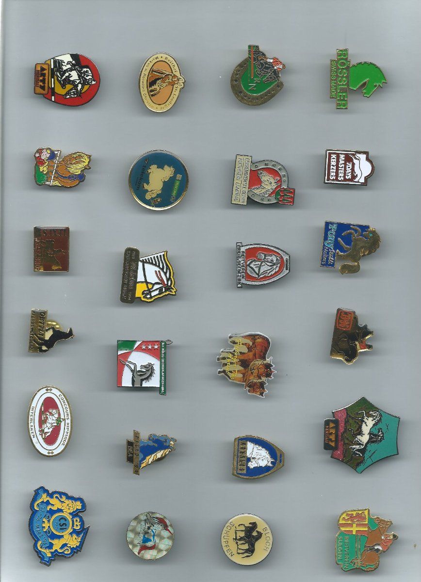 Placchette & Badge: Reiten Herisau, Pin – Usato da Zürich venduto da t24_de 1