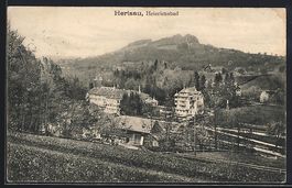 AK Herisau, Heinrichsbad, 1919