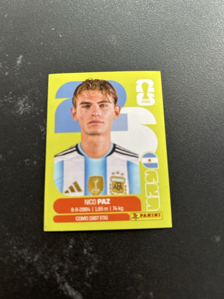 Panini Carte collezionabili: Panini ARG 14 – Nuovo (secondo la descrizione) da Lostorf venduto da Venice16