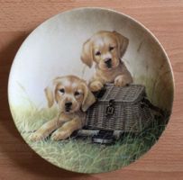 1 x Sehr schöner Hunde-Teller