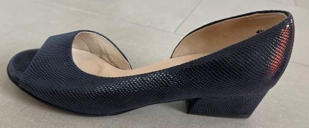 Pumps