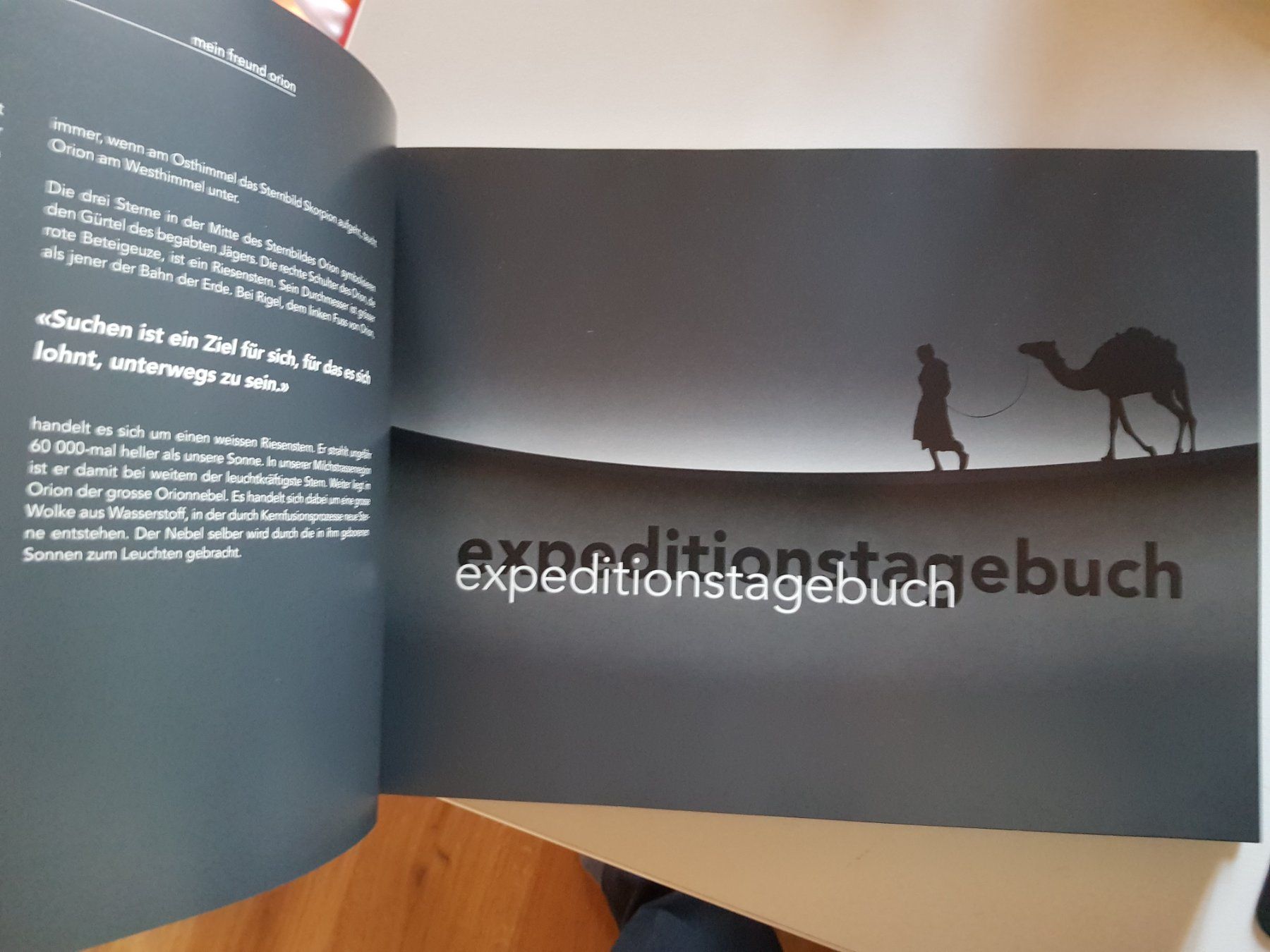 Libri: Buch: Uferlos - Andrea Vogel - Beatrice Keck – Usato da Walterswil BE venduto da Lonitti 2