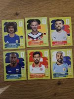 6 Panini Bilder im guten Zustand
