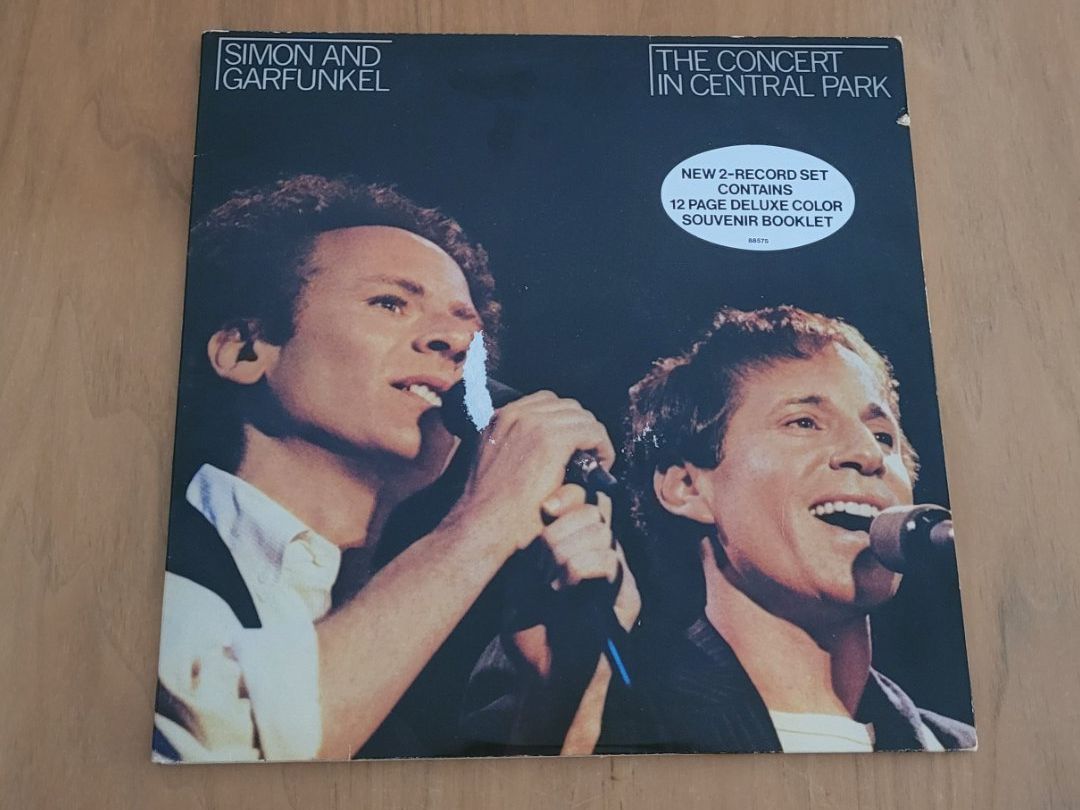Dischi in vinile: DLP Simon & Garfunkel – Usato da Martigny venduto da MZ-67