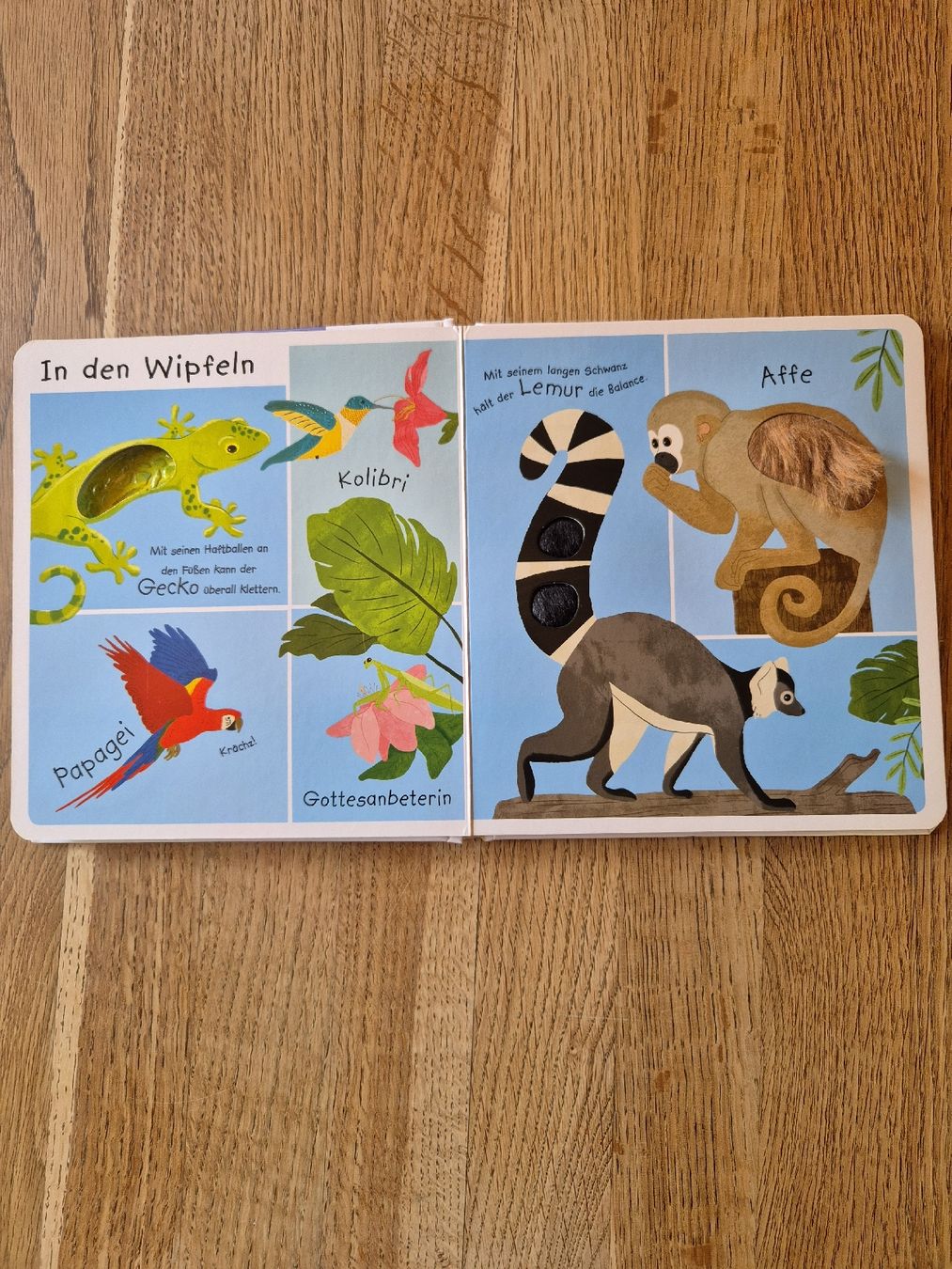 Libri: Bilderbuch Kinder – Usato da Valens venduto da Limaj 2