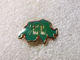 Ansteckpin 70: Pin Pin's