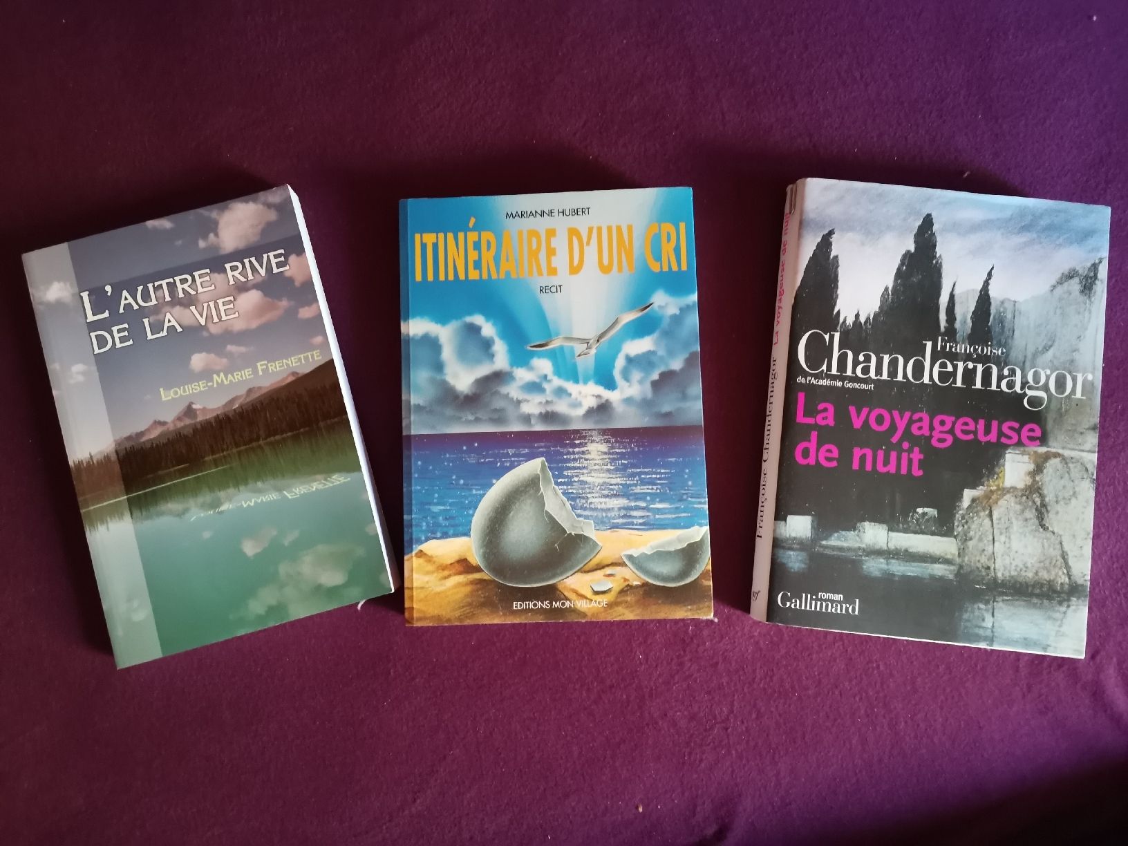 Libri: 3 livres – Nuovo (secondo la descrizione) da Cournillens venduto da masoeur