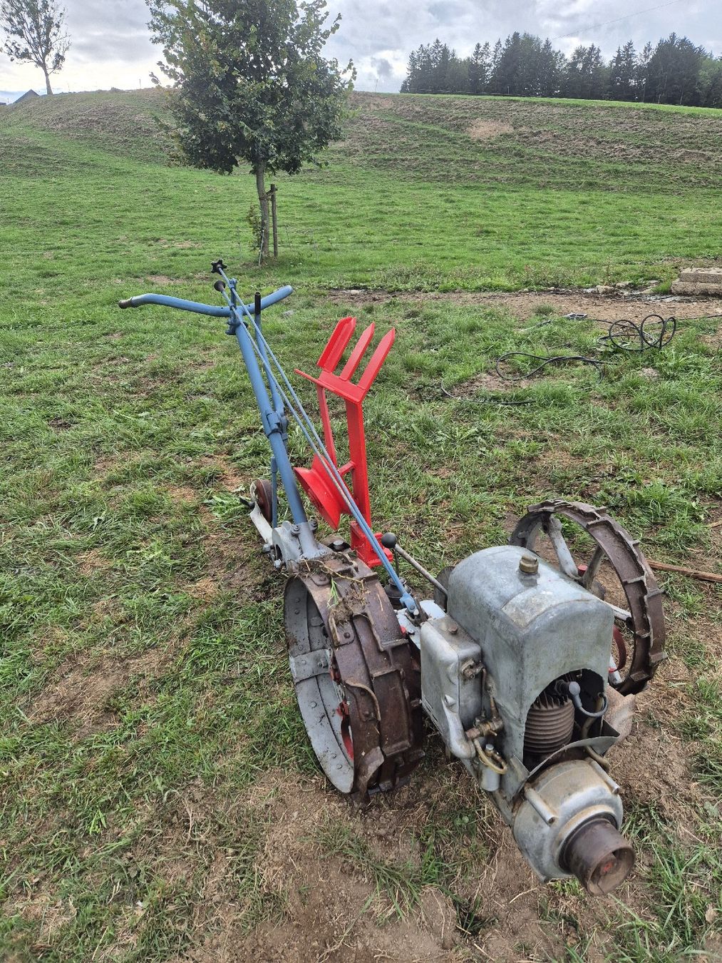 Grunder Trattori: Grunder mit Seilwinde – Usato da Egg (Flawil) venduto da Remofunk12 2