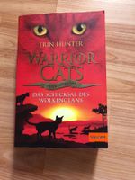 Warrior Cats Special Adventure