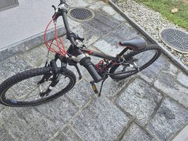 Bicicletta bambino 24