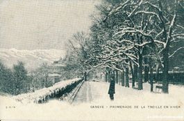 Genève - Promenade de la Treille + c1900