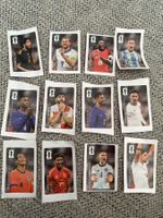 Panini WM 2026 alle Coca Cola Sticker