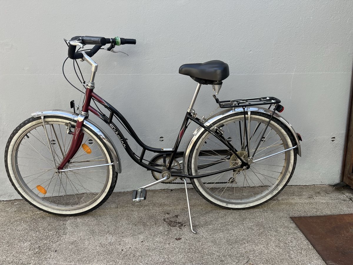 Biciclette: Velo – Usato da Brugg AG venduto da bin_6yhz 3