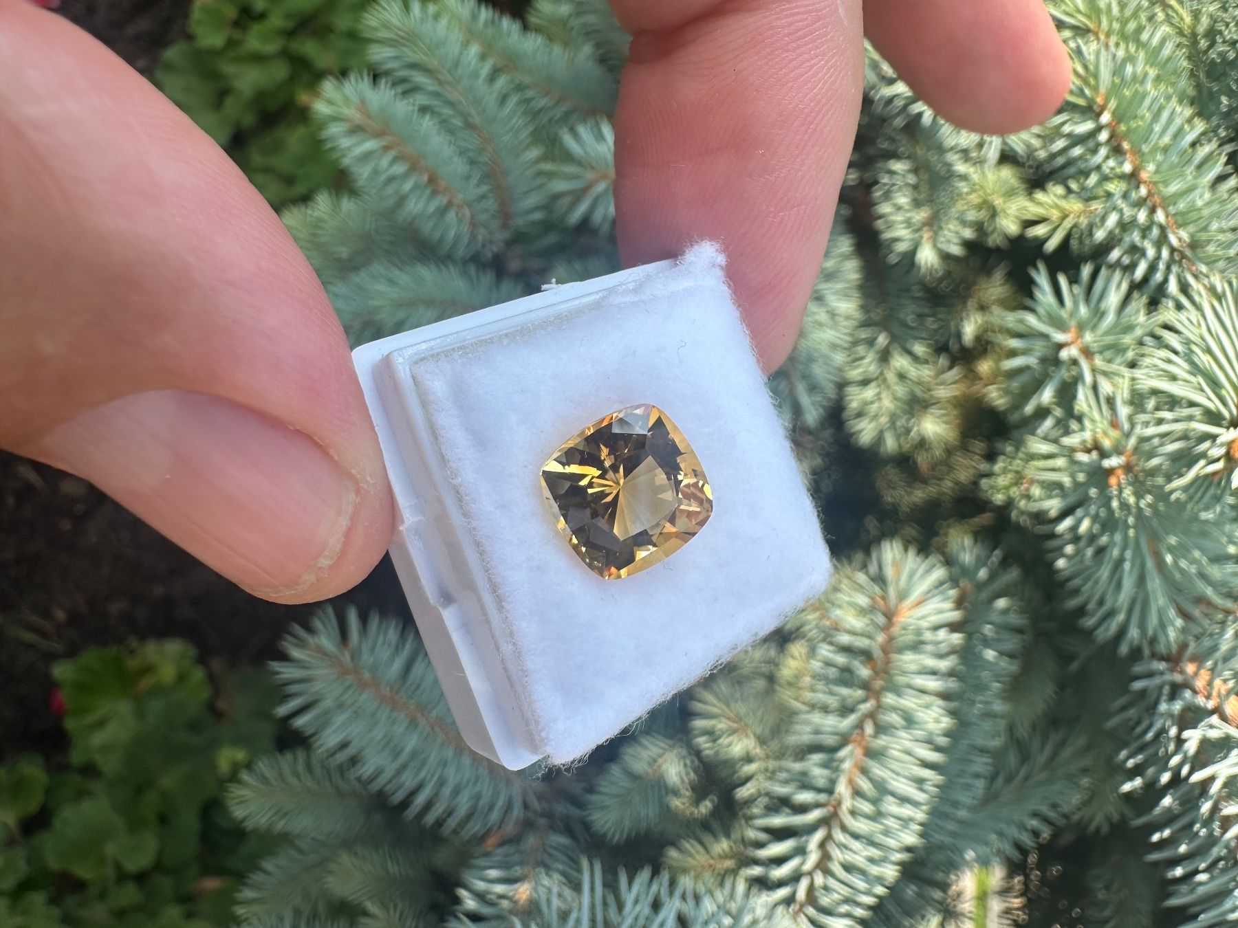 Pietre preziose: Natürliche Citrine Edelstein – Nuovo (secondo la descrizione) da Grenchen venduto da edi_gr