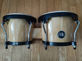 Bongo