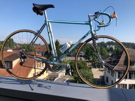 Rennvelo Denti Antik Campagnolo TOP