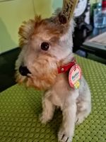 Steiff Hund Rattler Replika von 1930 Limitiert 4000