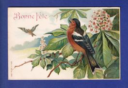 OISEAU - Bonne Fête - Carte gauffrée