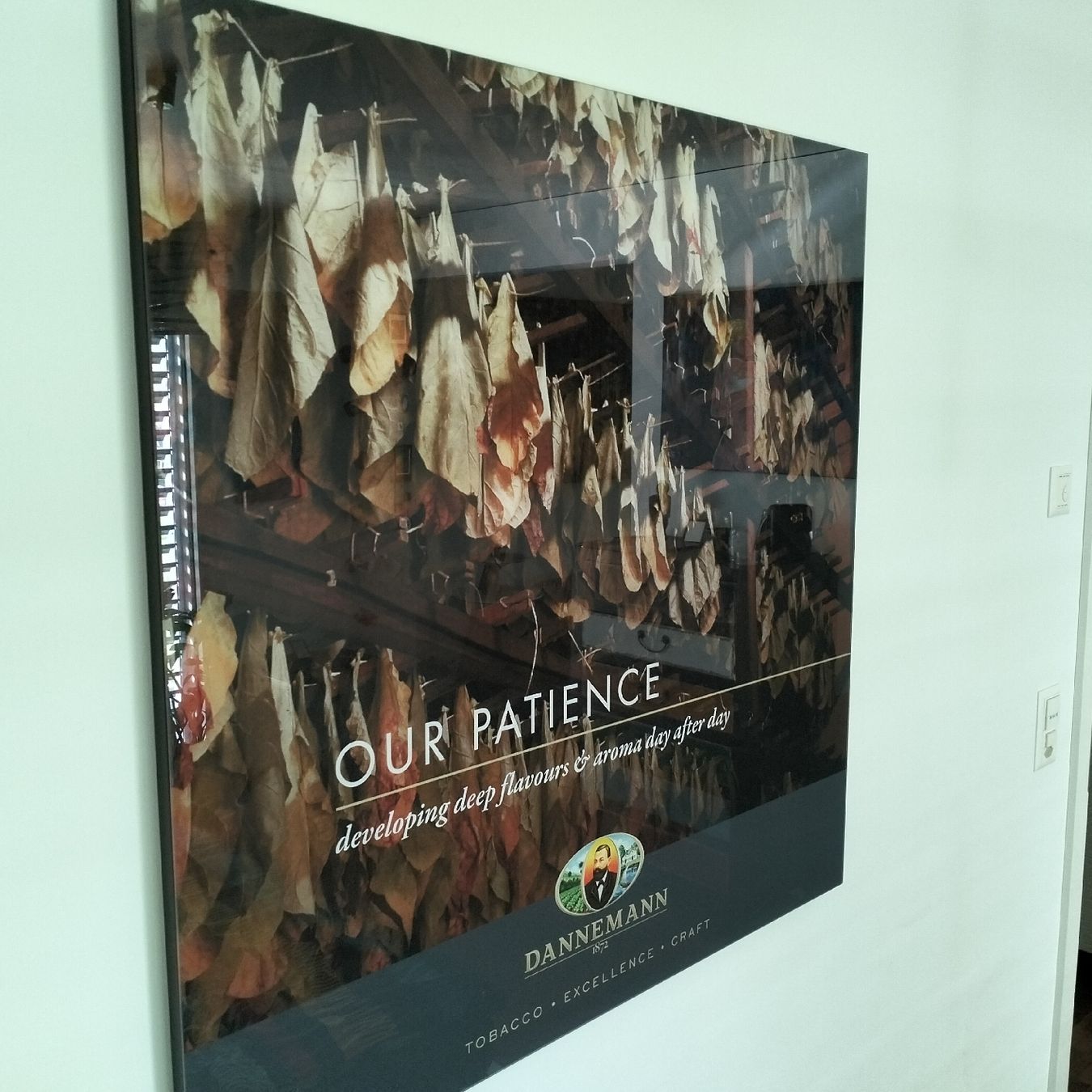 Foto & Immagini: Dannemann Bild "Tabak", exklusiv original Dannemann Zigarren – Usato da Leimbach AG venduto da Heiliger_Bam_Bim 3