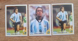 Panini Copa America / Gabriel Batistuta / BOOSTERFRISCH