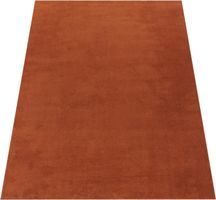 -50% 🔥🔥‼️ Teppich Wohnzimmer XXXL 240x340 Kupfer