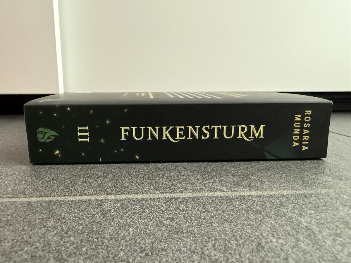 Bücher: Neu: Funkensturm mit Farbschnitt – Neu (gemäss Beschreibung) aus Männedorf von mel_st6z 3