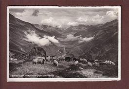 Blick von der FURKASTRASSE auf Oberalp - Schafherde